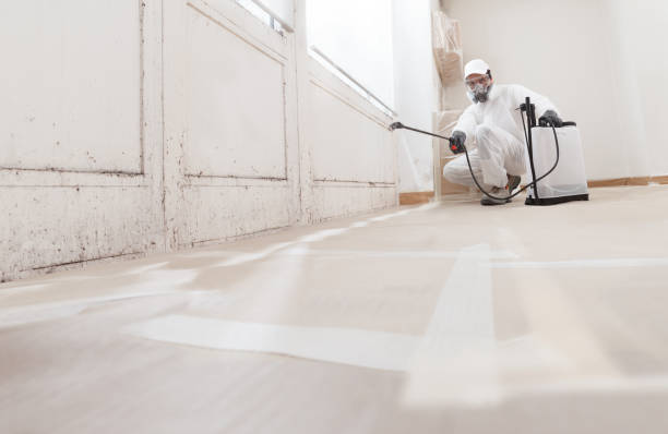 24/7 Emergency Mold Testing experts in Oxford, MI