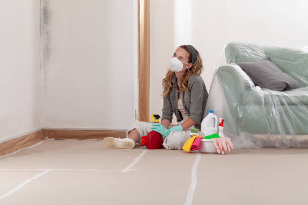 Reliable Mold Testing contractor in Oxford, MI by WQB Mold Removal