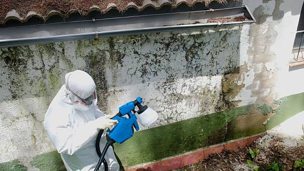 Top rated local Mold Testing specialists in Oxford, MI